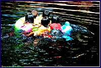Plonsen - nr. 0097